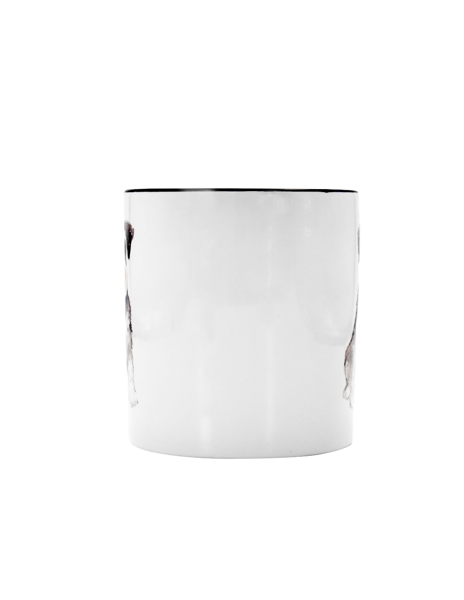 Taza americana Schnauzer